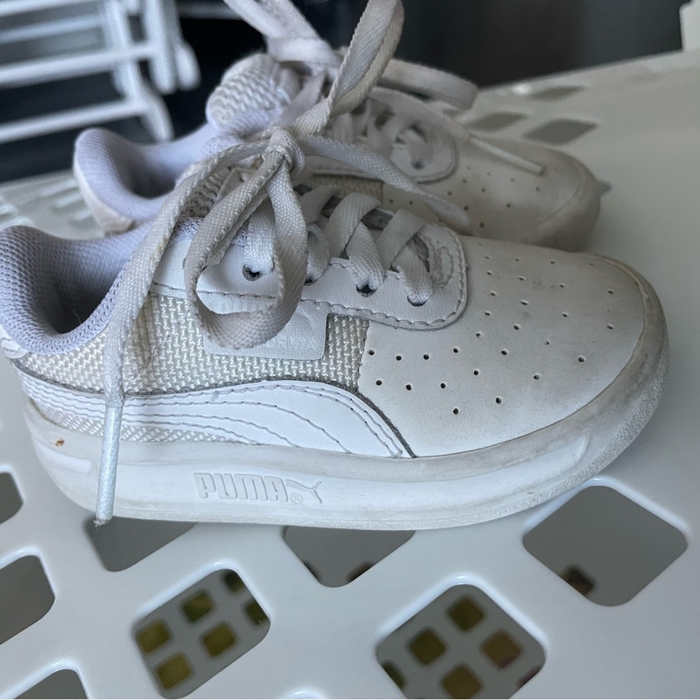 Pumas